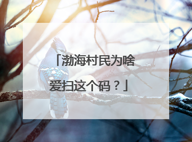 渤海村民为啥爱扫这个码？