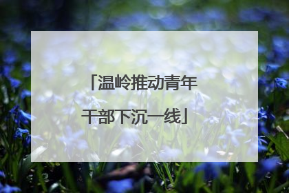 温岭推动青年干部下沉一线