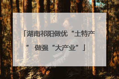 湖南祁阳做优“土特产” 做强“大产业”