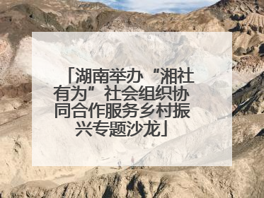湖南举办“湘社有为”社会组织协同合作服务乡村振兴专题沙龙