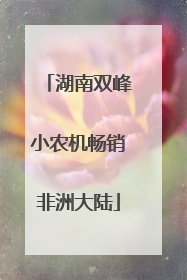 湖南双峰小农机畅销非洲大陆