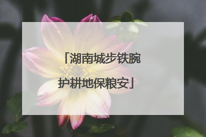 湖南城步铁腕护耕地保粮安