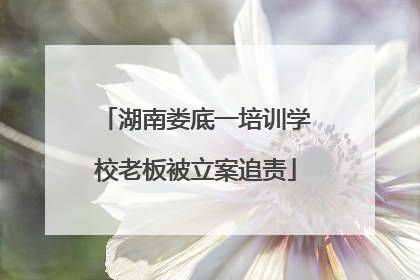 湖南娄底一培训学校老板被立案追责