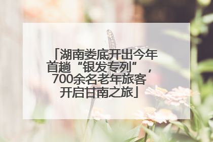 湖南娄底开出今年首趟“银发专列”，700余名老年旅客开启甘南之旅