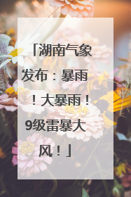湖南气象发布：暴雨！大暴雨！9级雷暴大风！