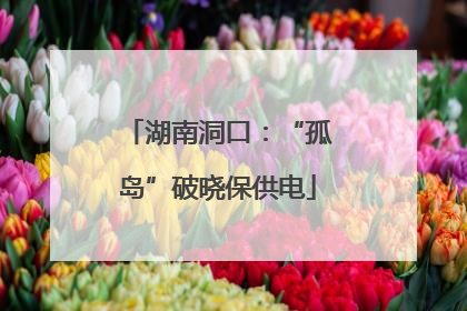 湖南洞口：“孤岛”破晓保供电