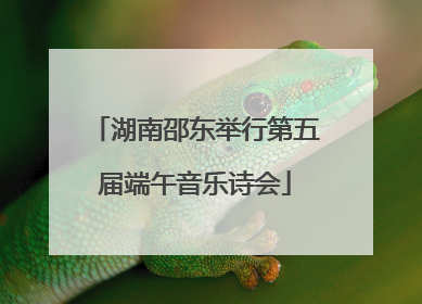 湖南邵东举行第五届端午音乐诗会