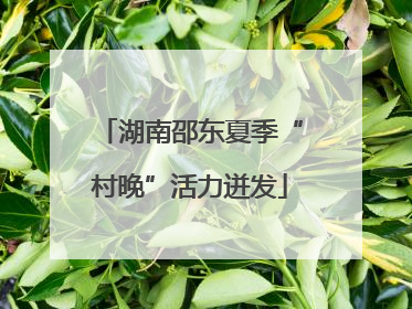 湖南邵东夏季“村晚”活力迸发