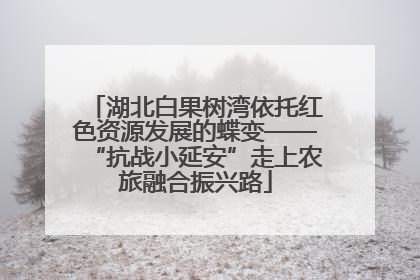湖北白果树湾依托红色资源发展的蝶变——“抗战小延安”走上农旅融合振兴路