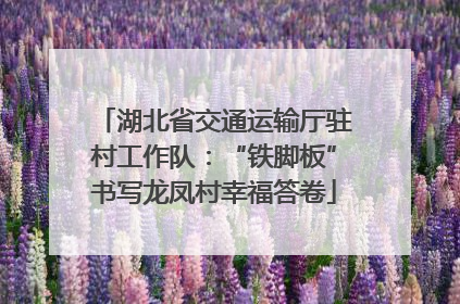 湖北省交通运输厅驻村工作队：“铁脚板”书写龙凤村幸福答卷