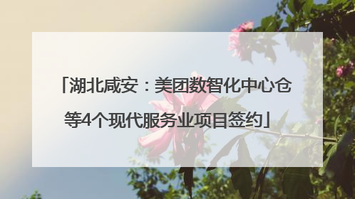 湖北咸安：美团数智化中心仓等4个现代服务业项目签约
