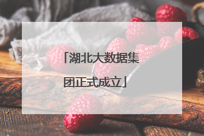 湖北大数据集团正式成立