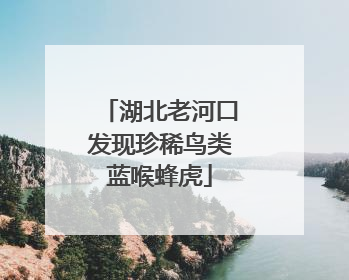 湖北老河口发现珍稀鸟类蓝喉蜂虎