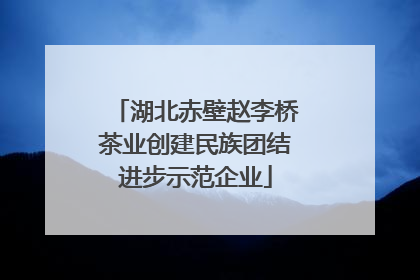 湖北赤壁赵李桥茶业创建民族团结进步示范企业