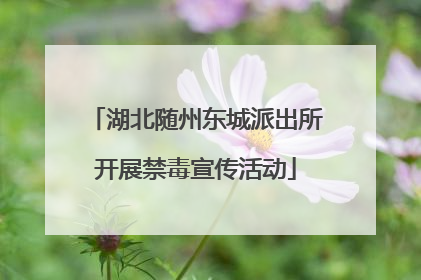 湖北随州东城派出所开展禁毒宣传活动