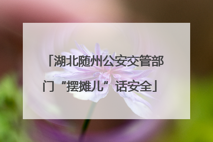 湖北随州公安交管部门“摆摊儿”话安全