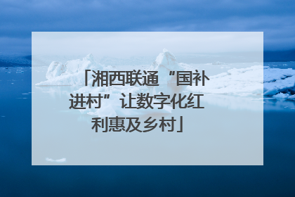 湘西联通“国补进村”让数字化红利惠及乡村