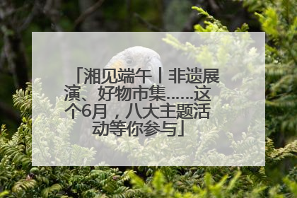 湘见端午丨非遗展演、好物市集……这个6月，八大主题活动等你参与