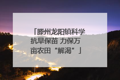 滕州龙阳镇科学抗旱保苗 力保万亩农田“解渴”