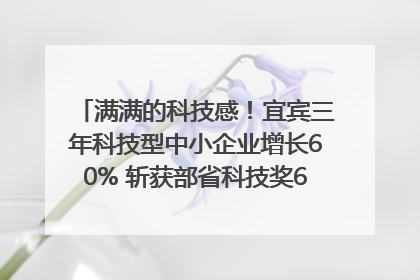 满满的科技感！宜宾三年科技型中小企业增长60% 斩获部省科技奖6项｜您牵挂的四川