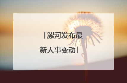 漯河发布最新人事变动