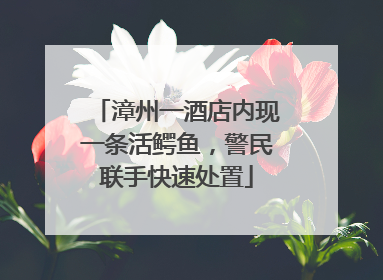 漳州一酒店内现一条活鳄鱼，警民联手快速处置
