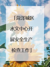 菏泽城区水文中心开展安全生产检查工作