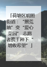 荷塘区明照街道：“撂荒地”变“爱心菜园” 志愿者携手种下“增收希望”