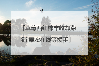 草莓西红柿丰收却滞销 果农在线等援手
