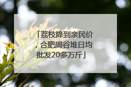 荔枝降到亲民价，合肥周谷堆日均批发20多万斤