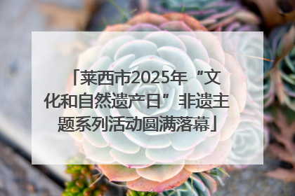 莱西市2025年“文化和自然遗产日”非遗主题系列活动圆满落幕