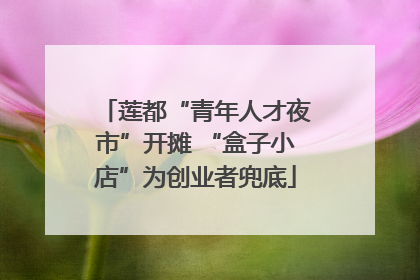 莲都“青年人才夜市”开摊 “盒子小店”为创业者兜底
