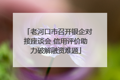 老河口市召开银企对接座谈会 信用评价助力破解融资难题