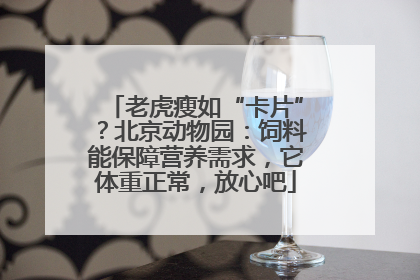 老虎瘦如“卡片”？北京动物园：饲料能保障营养需求，它体重正常，放心吧