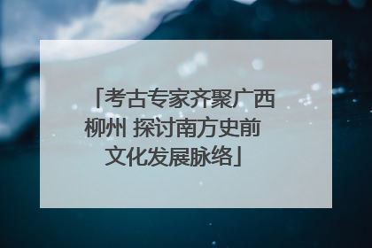 考古专家齐聚广西柳州 探讨南方史前文化发展脉络