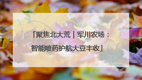 聚焦北大荒｜军川农场：智能喷药护航大豆丰收