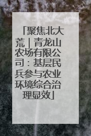 聚焦北大荒｜青龙山农场有限公司：基层民兵参与农业环境综合治理显效