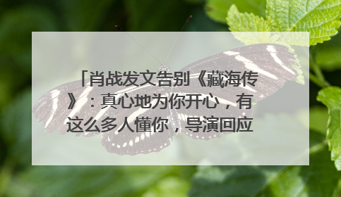 肖战发文告别《藏海传》：真心地为你开心，有这么多人懂你，导演回应“是否有第二季”