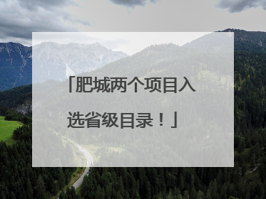 肥城两个项目入选省级目录！