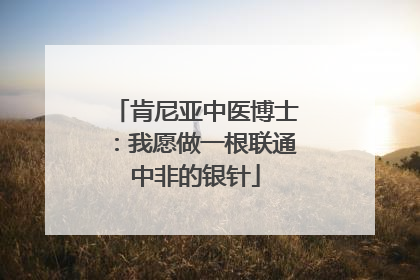 肯尼亚中医博士：我愿做一根联通中非的银针
