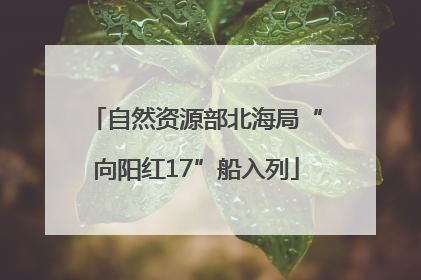 自然资源部北海局“向阳红17”船入列