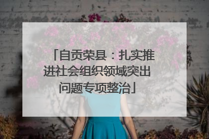 自贡荣县：扎实推进社会组织领域突出问题专项整治