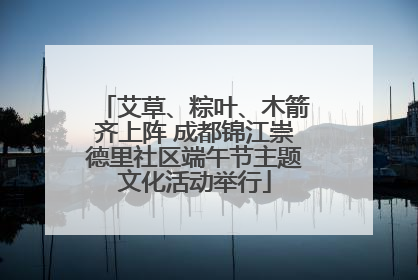 艾草、粽叶、木箭齐上阵 成都锦江崇德里社区端午节主题文化活动举行