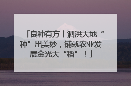 良种有方丨泗洪大地“种”出美妙，铺就农业发展金光大“稻”！