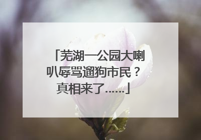 芜湖一公园大喇叭辱骂遛狗市民？真相来了……