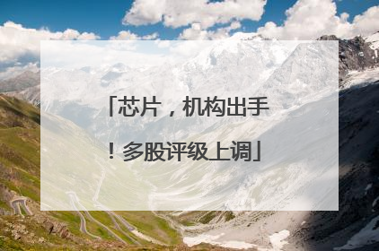 芯片，机构出手！多股评级上调