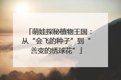 萌娃探秘植物王国：从“会飞的种子”到“善变的绣球花”