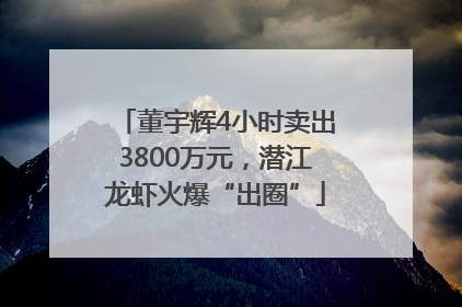 董宇辉4小时卖出3800万元，潜江龙虾火爆“出圈”