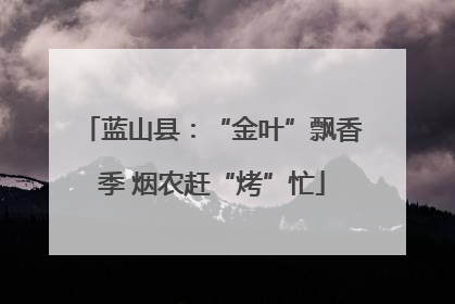 蓝山县：“金叶”飘香季 烟农赶“烤”忙