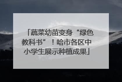 蔬菜幼苗变身“绿色教科书”！哈市各区中小学生展示种植成果